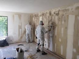 Westfield, WI Mold Prevention & Removal  Company